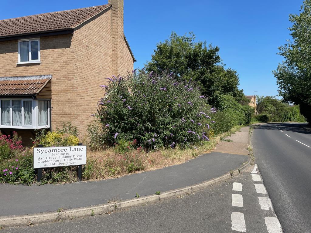 Lot: 111 - FREEHOLD PARCEL OF LAND IN A RESIDENTIAL AREA OF ELY - Land adjacent to 2 Sycamore Road